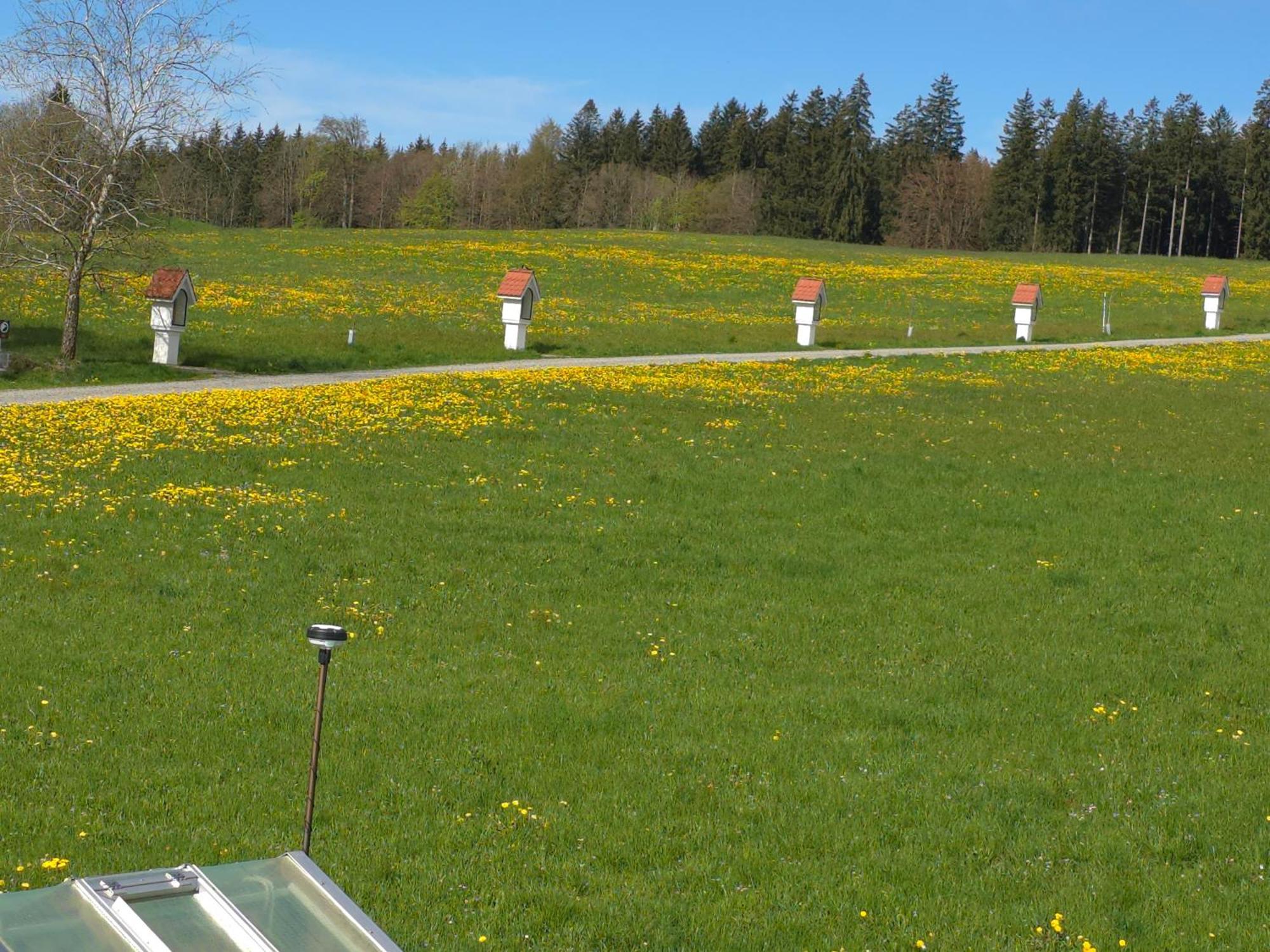 Alpenblick Appartement Leutkirch im Allgäu Kamer foto